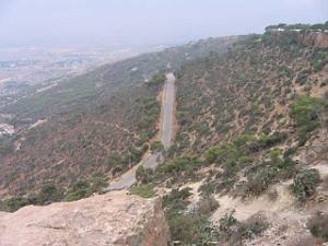 ORAN SANTA CRUZ (144)